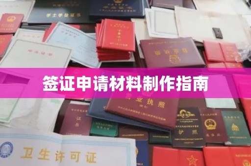 禄丰签证申请材料制作指南